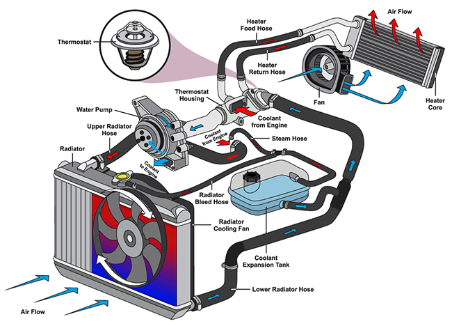 Cooling System Diagram | Hotchkiss Auto Repair